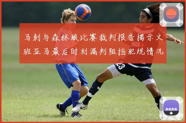 马刺与森林狼比赛裁判报告揭示文班亚马最后时刻漏判阻挡犯规情况