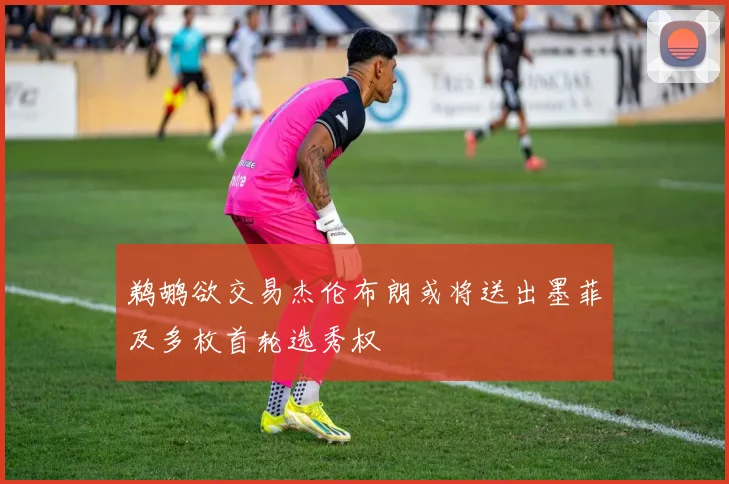 鹈鹕欲交易杰伦布朗或将送出墨菲及多枚首轮选秀权
